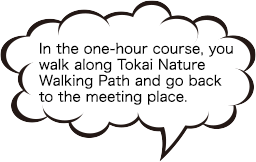 In the one-hour course, you walk along Tokai Nature Walking Path and go back to the meeting place.