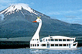 山中湖の白鳥の湖