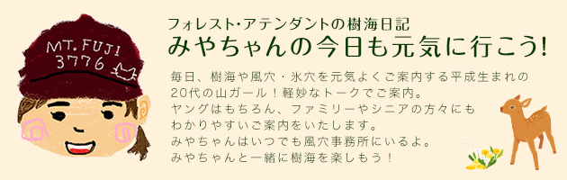 フォレスト・アテンダントの樹海日記 みやちゃんの今日も元気に行こう！