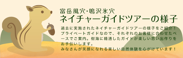 ネイチャーガイドツアーの様子