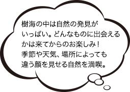 樹海の中は自然の発見がいっぱい。どんなものに出会えるかは来てからのお楽しみ！季節や天気、場所によっても違う顔を見せる自然を満喫。