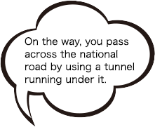 On the way, you pass across the national road by using a tunnel running under it.