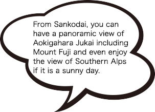 From Sankodai, you can have a panoramic view of Aokigahara Jukai including Mount Fuji and even enjoy the view of Southern Alps if it is a sunny day.