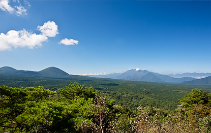 Sankodai Three-Hour Course