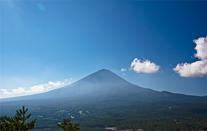 Autumn-Limited Jukai Walking Course