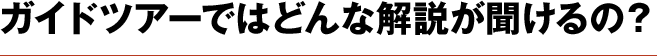 どんな解説が聞けるの？