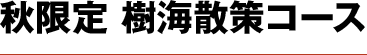 秋限定 樹海散策コース