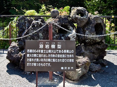 写真：氷穴洞内の溶岩樹型