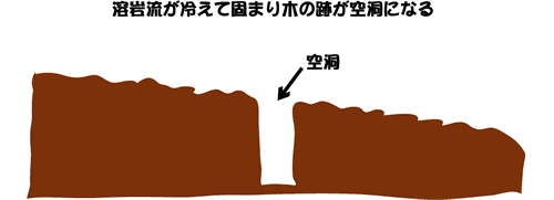 図：溶岩流が冷えて固まり木の跡が空洞になる