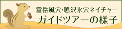 ネイチャーガイドツアーの様子