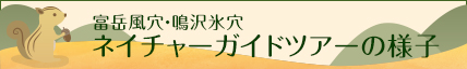 ネイチャーガイドツアーの様子