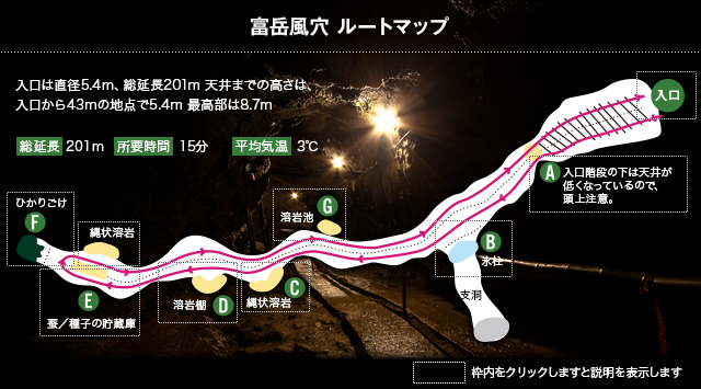 富岳風穴 ルートマップ：入口は直径5.4m、総延長201m 天井までの高さは、入口から43mの地点で5.4m 最高部は8.7m　総延長201m 所要時間15分 平均気温3℃ 