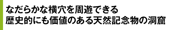 なだらかな横穴を周遊できる歴史的にも価値のある天然記念物の洞窟